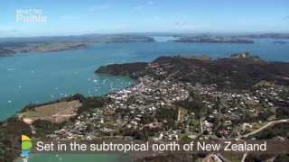 Things to do and see Paihia Bay of Islands attractions and all the activities [upl. by Roseanna]