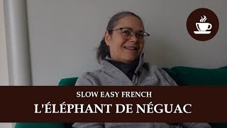 LA CHANSON quotUN ÉLÉPHANT À NÉGUACquot  Intermediate Quebec French with Subtitles  Frenchpresso [upl. by Rayford214]