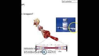 Proteinsyntesen 1 [upl. by Attenyw]