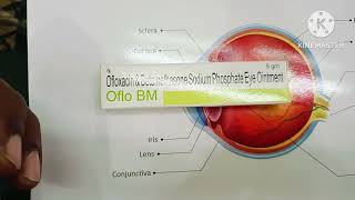 Oflo bm Ointment uses in hindi  Ofloxacin betamethasone  oflo bm ointment [upl. by Henning228]