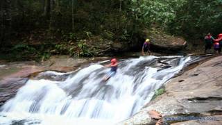 Kitulgala Rain Forest Camping in Sri Lanka [upl. by Gapin]