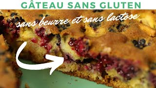 GÂTEAU aux fruits SANS GLUTEN ET SANS LACTOSE  LUNDI VERT n°108 [upl. by Esinad666]