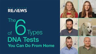 The 6 Types of DNA Tests You Can Do at Home [upl. by Anh]