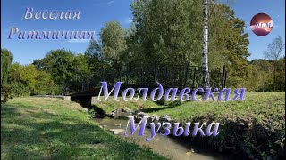 Молдавская Музыка 2024 Веселая Ритмичная Танцевальная Muzica Moldoveneasca 2024 [upl. by Nyvrem]