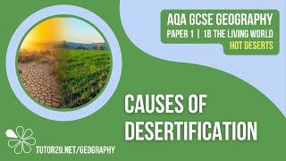 Causes of Desertification  AQA GCSE Geography  Hot Deserts 8 [upl. by Ynnor]