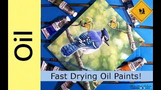 Fast Drying Oil Paints  Blue Jay in Oils Demo [upl. by Felicia]