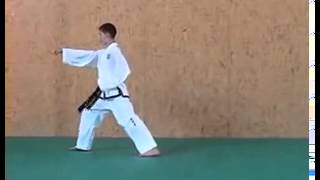 ITF Taekwon Do Patterns  Chon Ji [upl. by Fates]