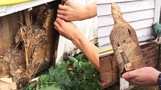 Bootlegger’s Whisky Stash Found by Couple Renovating House [upl. by Ashford]