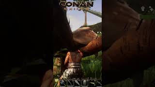 Conan Exiles Savage Wilds  Aranha Gigante na Floresta conanexilesgameplay conanexiles [upl. by Brandais]