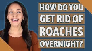 How do you get rid of roaches overnight [upl. by Bobette136]