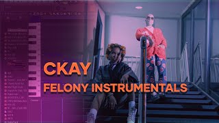 CKay  Felony Official Music Instrumentals  Free FLP file [upl. by Stella446]