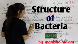 Structure of Bacteria  in hindi Bacteriology  By Manisha Maam  Microbiology [upl. by Ariane762]