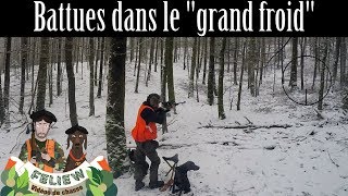 Battues giboyeuses dans le grand froid chasse aux sangliers cerf et chevreuil Sauer 404 [upl. by Corella]