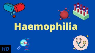 Haemophilia Causes SIgns and Symptoms Diagnosis and Treatment [upl. by Ogawa314]