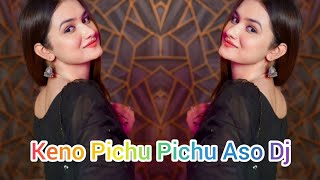 Keno Pichu Pichu Aso Dj  Sofik New Song  কেনো পিছু পিছু আসো  Dj BulBul  Palli Gram Tv New Song [upl. by Rakso]