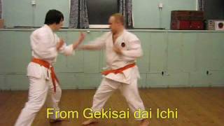 6 Okinawan karate Okinawan GojuRyu kata based techniques [upl. by Asyram]