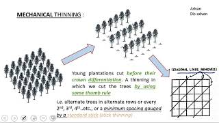 20 RPSCACF 2020  Silviculture  Tending operation Plantation forestry [upl. by Aicetal]