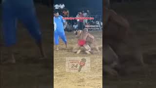 Pehladpur kidolhi दंगल Live trending shorts short dangal kushti [upl. by Iraj]