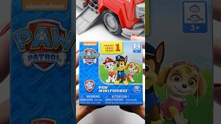 Paw Patrol Mini Mystery Box Unboxing  cute Surprise [upl. by Hsirehc546]