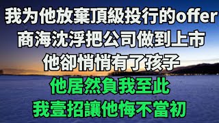 十年前我爲了他放棄頂級投行的 offer，陪他創業。十年後我商海沈浮把公司做到上市，他卻悄悄有了孩子！我的神識壹片混噸，仿佛五雷轟頂。他，怎能負我至此？【落日海風】小說情感故事 [upl. by Quill]