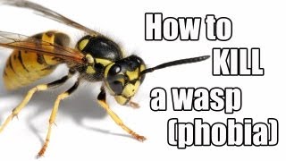 Episode 21  How to kill a wasp phobia [upl. by Falzetta]