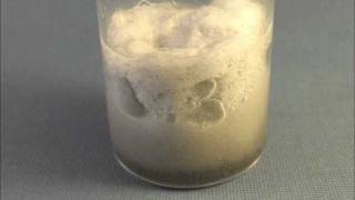 Catalytic Decomposition of Cellulose Cotton Fibers by Hydrogen Peroxide H2O2 [upl. by Yenattirb]