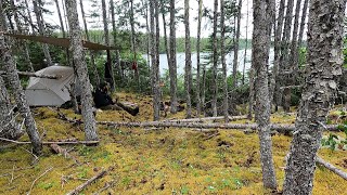 Solo Overnight Canoe Trip with My 2 Dogs  Pan Fried Cod on the Fire [upl. by Allenrac]