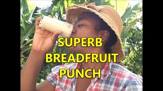 NEVER THROW AWAY YOUR RIPE BREADFRUIT AGAIN MAKE BREADFRUIT SMOOTHIEPUNCHBreadfruit Benefits [upl. by Eiznyl]