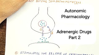 The Ultimate Guide to Adrenergic Drugs  part 2  Sympathomimetics [upl. by Nueoras]