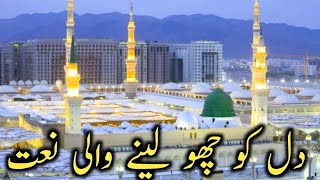 HaleDil kis Ko Sunaye Ap ﷺ Ky hoty Hue  𝚂𝚕𝚘𝚠𝚎𝚍  𝚁𝚎𝚠𝚎𝚛𝚋  urdu lyrics Naat [upl. by Yesllek]