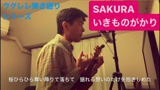 375曲目「SAKURA」いきものがかり【ウクレレ弾き語りcover】 [upl. by Kenlay510]