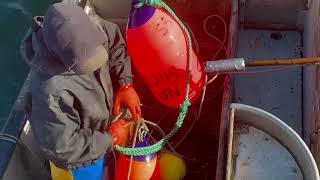 Fishing Black Cod Southeast Alaska [upl. by Erny591]