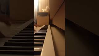 Rachmaninoff piano concerto no2 3rd movement beautiful melody [upl. by Annayoj]