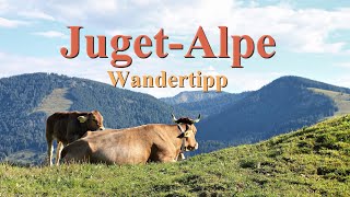 Wanderung zur JugetAlpe oberhalb von Immenstadt großen Alpsee [upl. by Annoet]