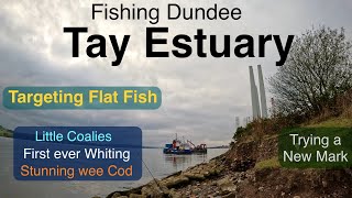 Sea Fishing Scotland  Tay Estuary  Dundee  Flatties and other small species [upl. by Atsahs]