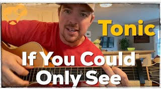 If You Could Only See  Tonic  Beginner Guitar Lesson [upl. by Bud]