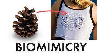 Biomimicry has massive potential Why arent designers using it [upl. by Londoner]