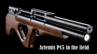 The Artemis P15 in the field HD [upl. by Pernick]