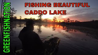 Caddo lake on the kayak [upl. by Ethelinda845]