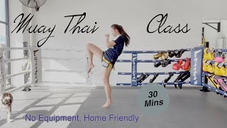 Muay Thai at Home  Full Class Beginner Friendly No equipment  30 Mins with Spring Sia [upl. by Raycher]