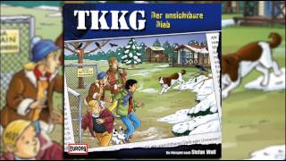 TKKG  Folge 185 Der unsichtbare Dieb [upl. by Acino]