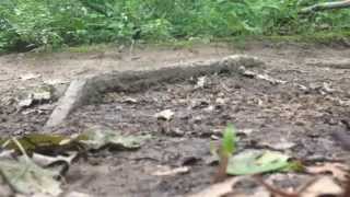 How to Run Over Tree Roots on a Trail [upl. by Afrikah]