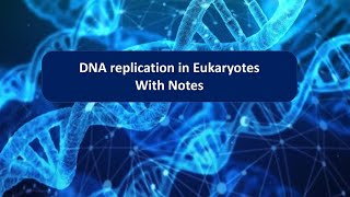 DNA replication in Eukaryotes with notes  DNA replication  hindi  MicrobTalk [upl. by Pazice127]