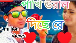 মন ভাঙা কস্টের গান ❤️pakhi ural desa raurali hoya2024 hit song [upl. by Edals]