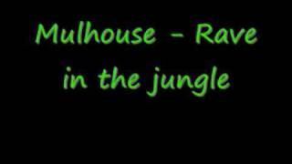 Mulhouse  Rave In The Jungle [upl. by Anelaj]