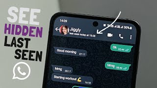 How to See Hidden Last Seen on WhatsApp 100 Working [upl. by Malachy177]