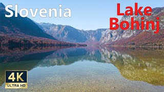 Lake Bohinj Slovenia 🇸🇮 4K Autumn Walking Tour [upl. by Enyrehtak497]