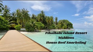 Fihalhohi Maldives Snorkeling Insights From The House Reef [upl. by Llednohs]