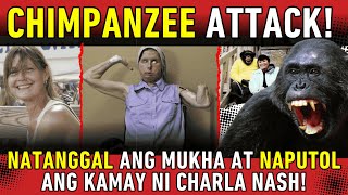 PAANO NAKASURVIVE si CHARLA NASH sa KRITIKAL na CHIMPANZEE ATTACK [upl. by Atlante]