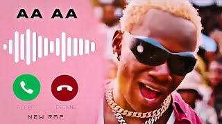 aha aha aa aa rap ringtone ah ah ah ah ahhh song  aa aha aha ooo  trending ringtone 2024 music [upl. by Aifas]